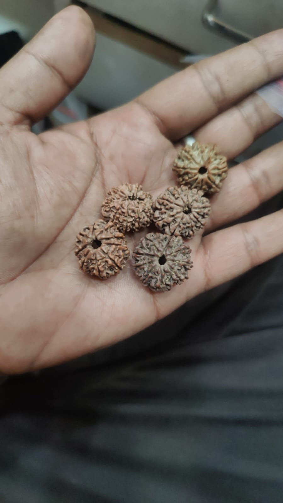 9 Mukhi Rudraksha